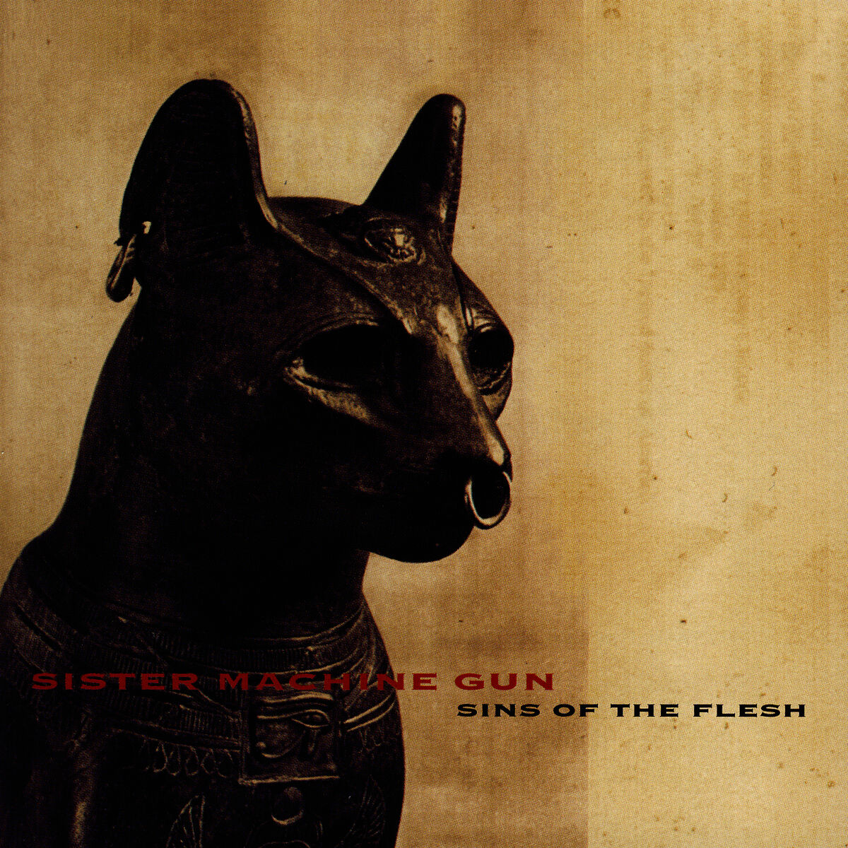 Album cover of Sins Of The Flesh