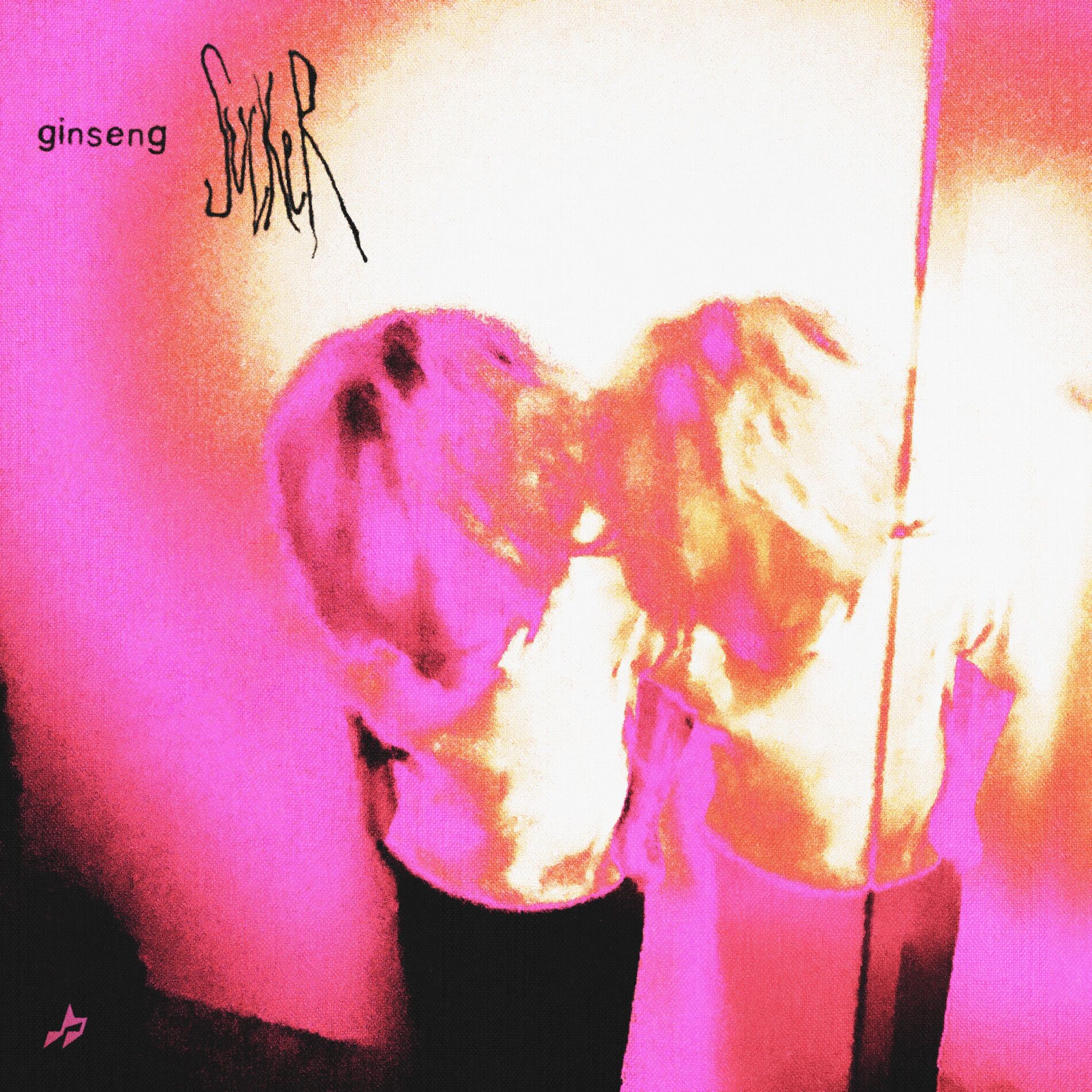 Album cover of Sucker