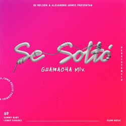 Cover of Se Soltó (Guaracha Remix) [feat. Alejandro Armes]