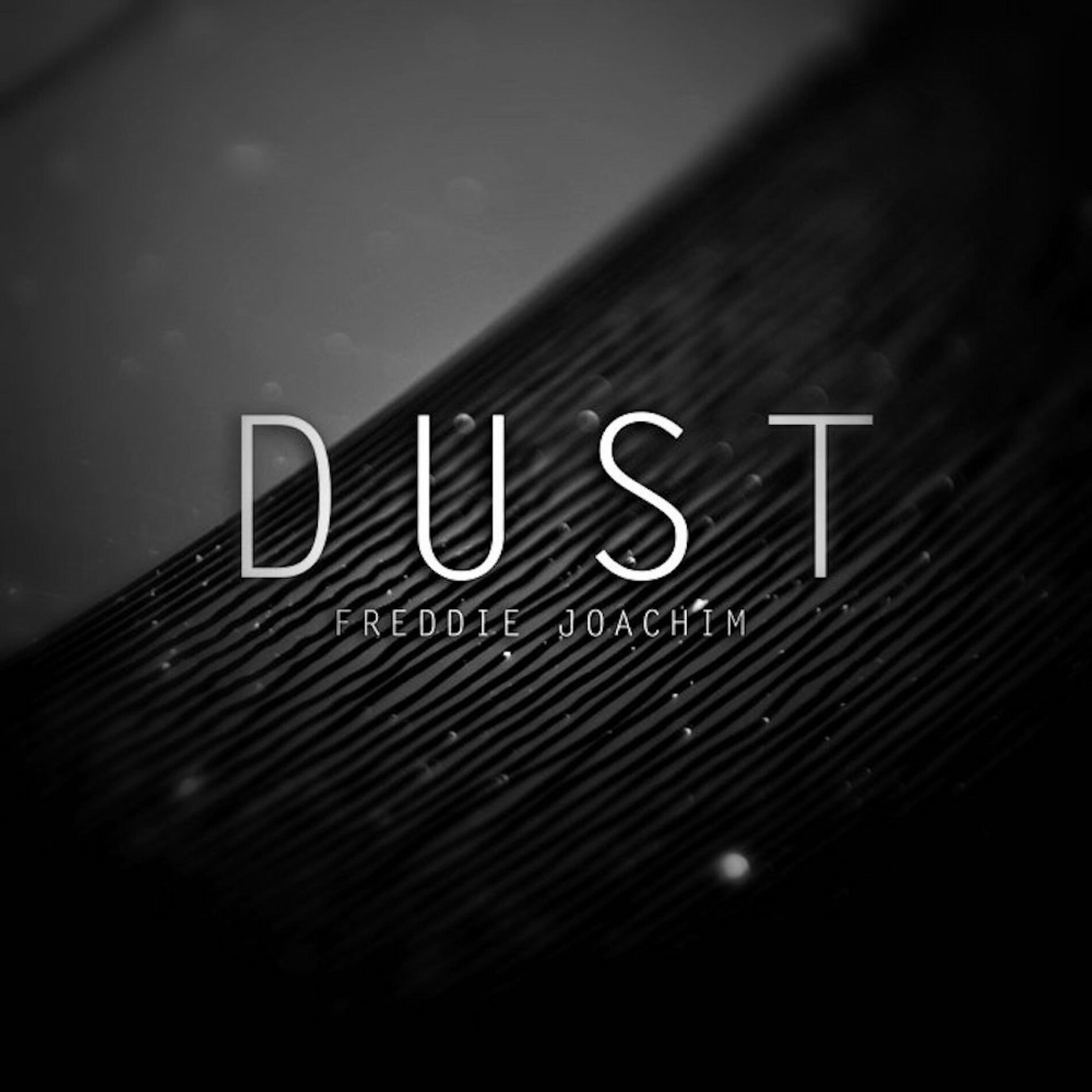 Album cover of Dust