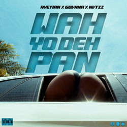 Pochette album