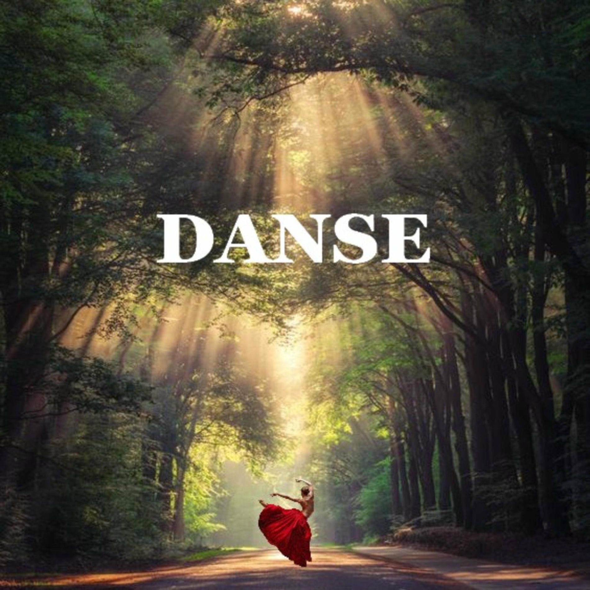 Album cover of DANSE