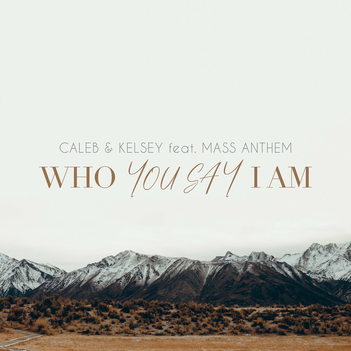 Album cover of You Say / Who You Say I Am