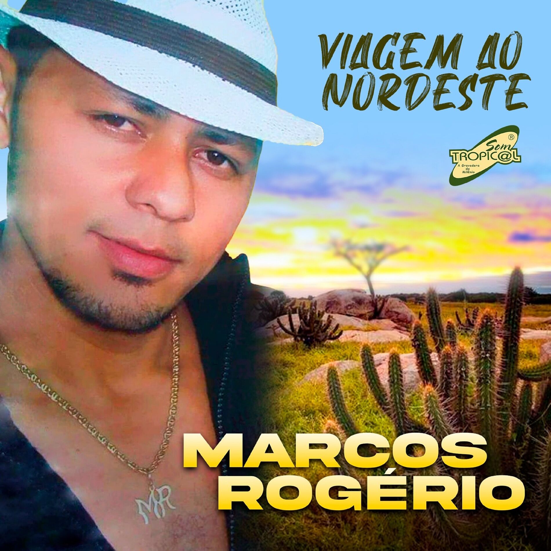 Album cover of Viagem ao Nordeste