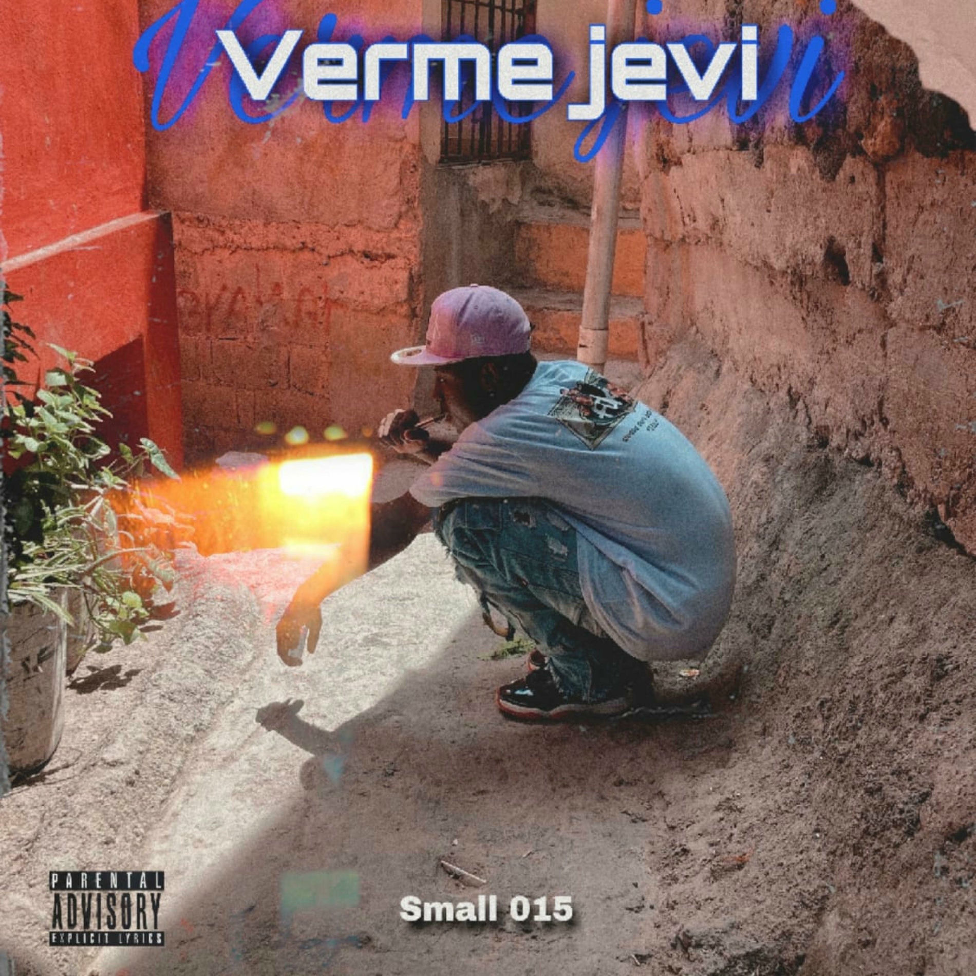 Album cover of VERME JEVI