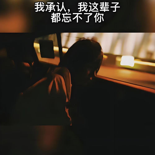 你从来没有忘记我