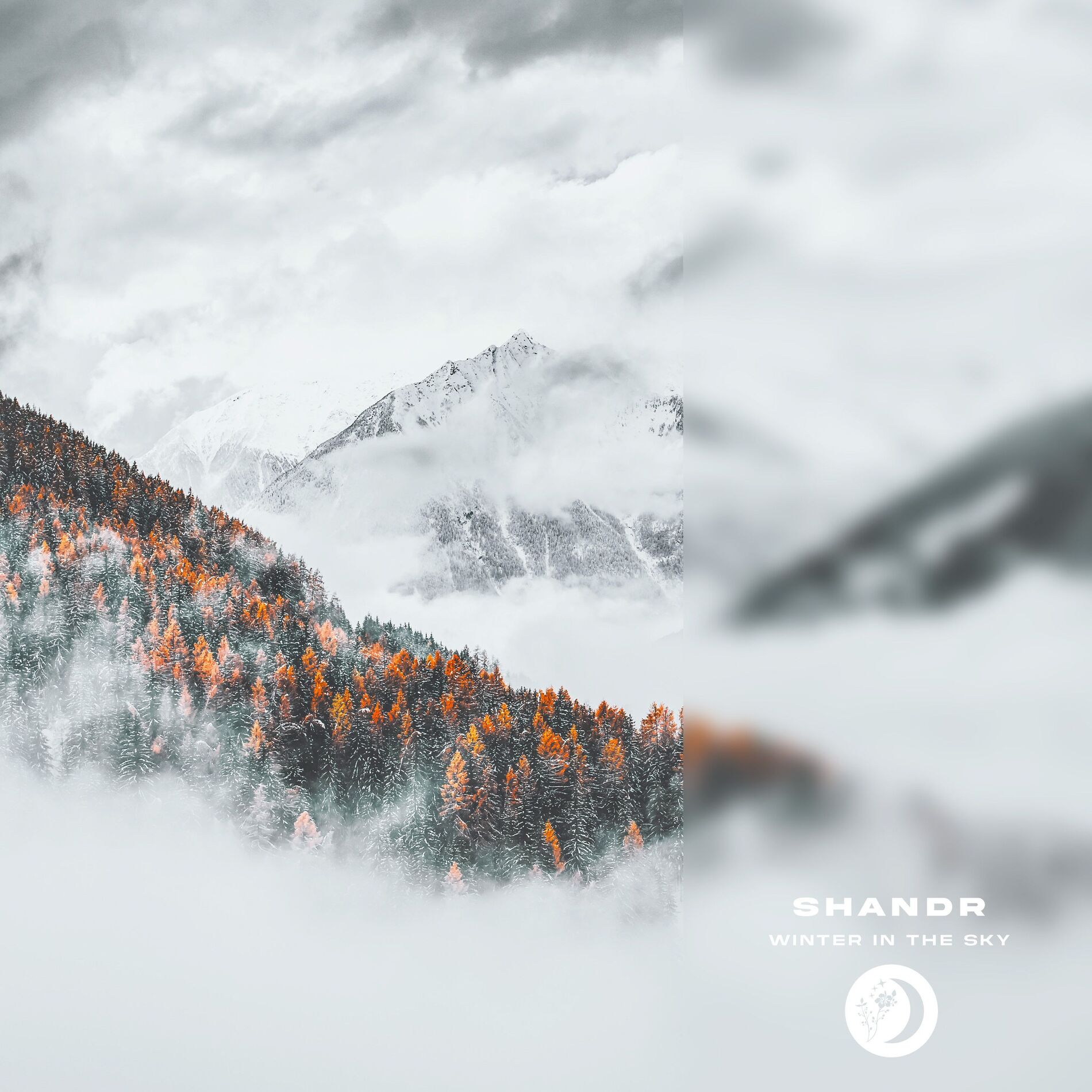 Album cover of Winter In The Sky