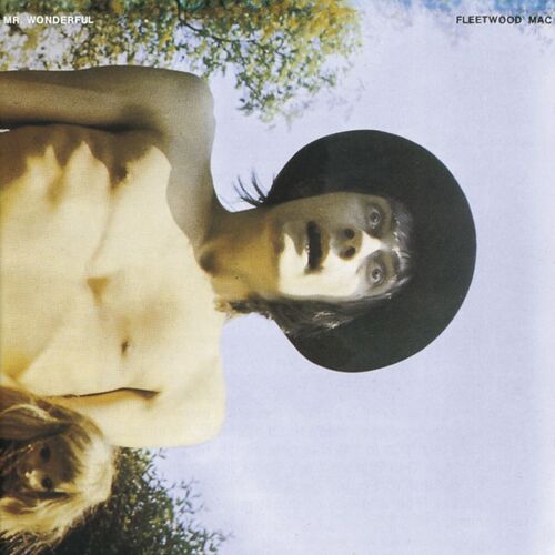 Mr.Wonderful : Fleetwood Mac | HMV&BOOKS online - 767981177328