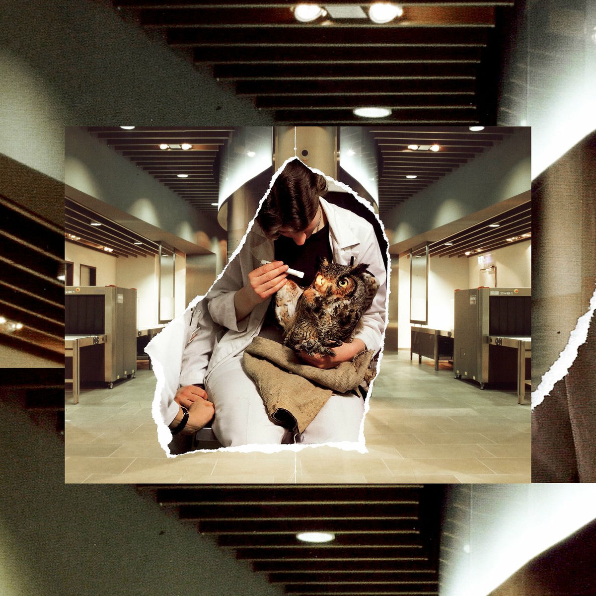 Album cover of The Use Of My Belonging