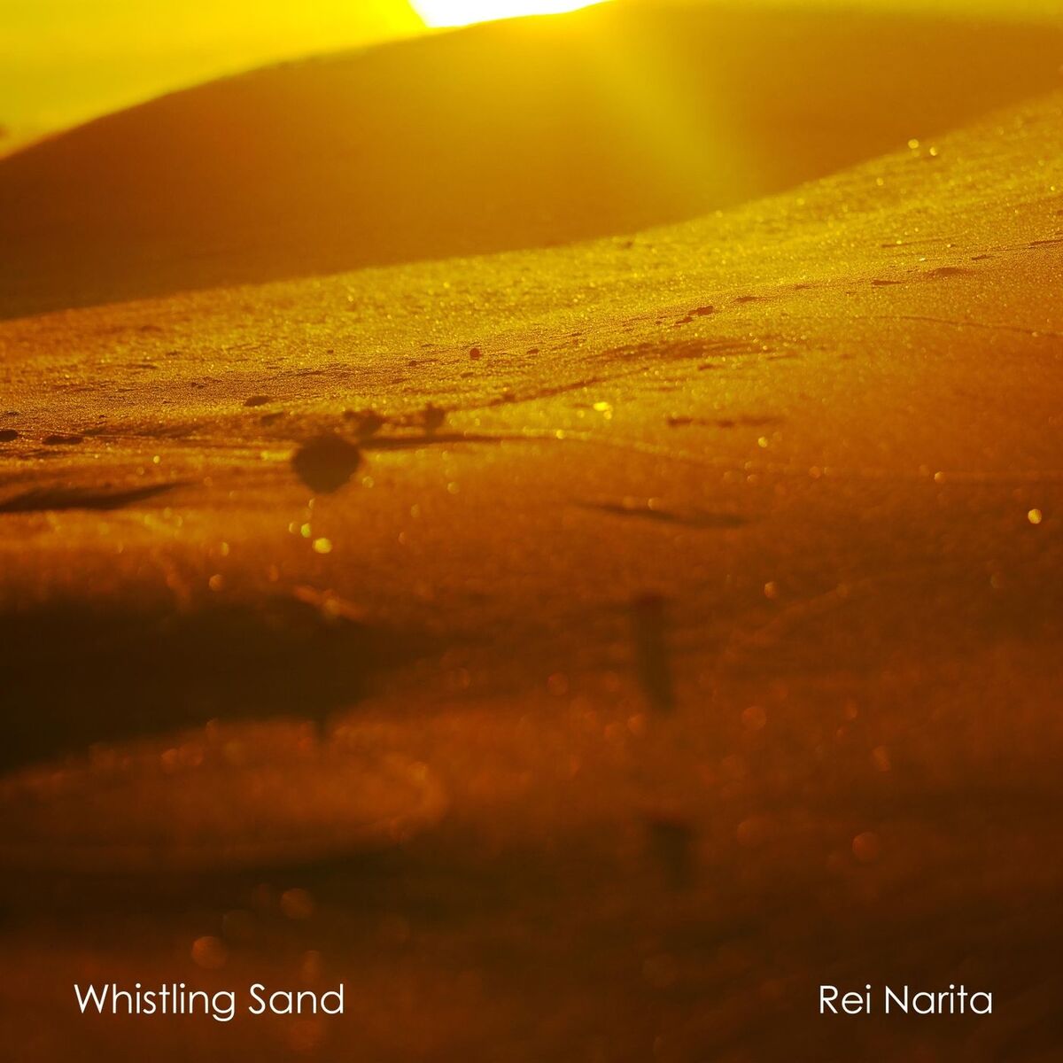 Album cover of Whistling Sand