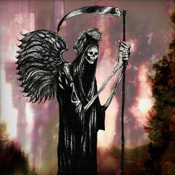 Cover of Angel Of Death