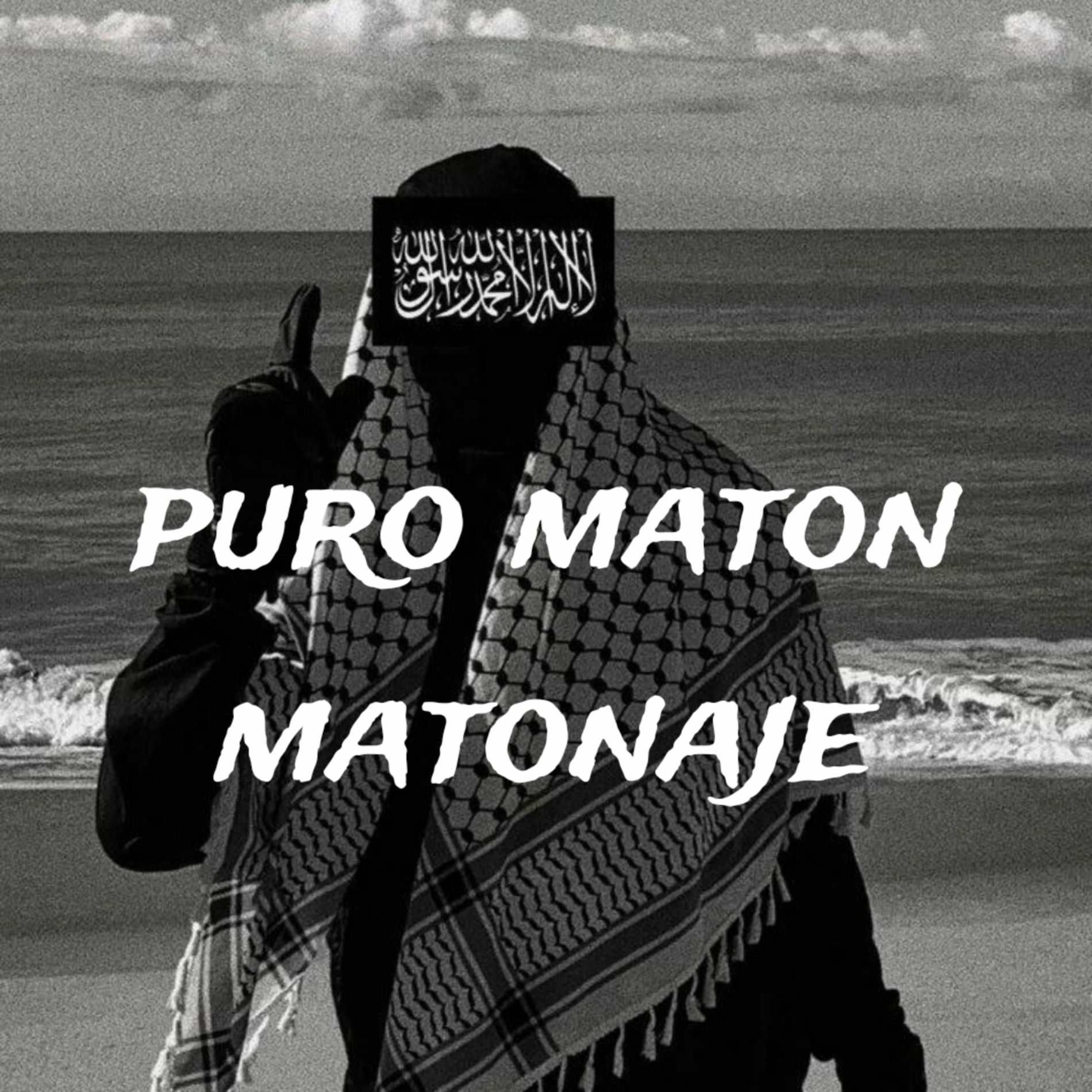 Album cover of Puro Maton Matonaje..