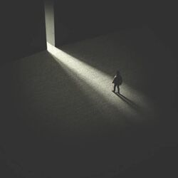 Cover of Liberated
