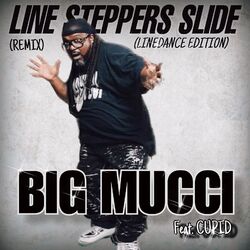Cover of Line Steppers Slide (LineDance Edition) [Remix]