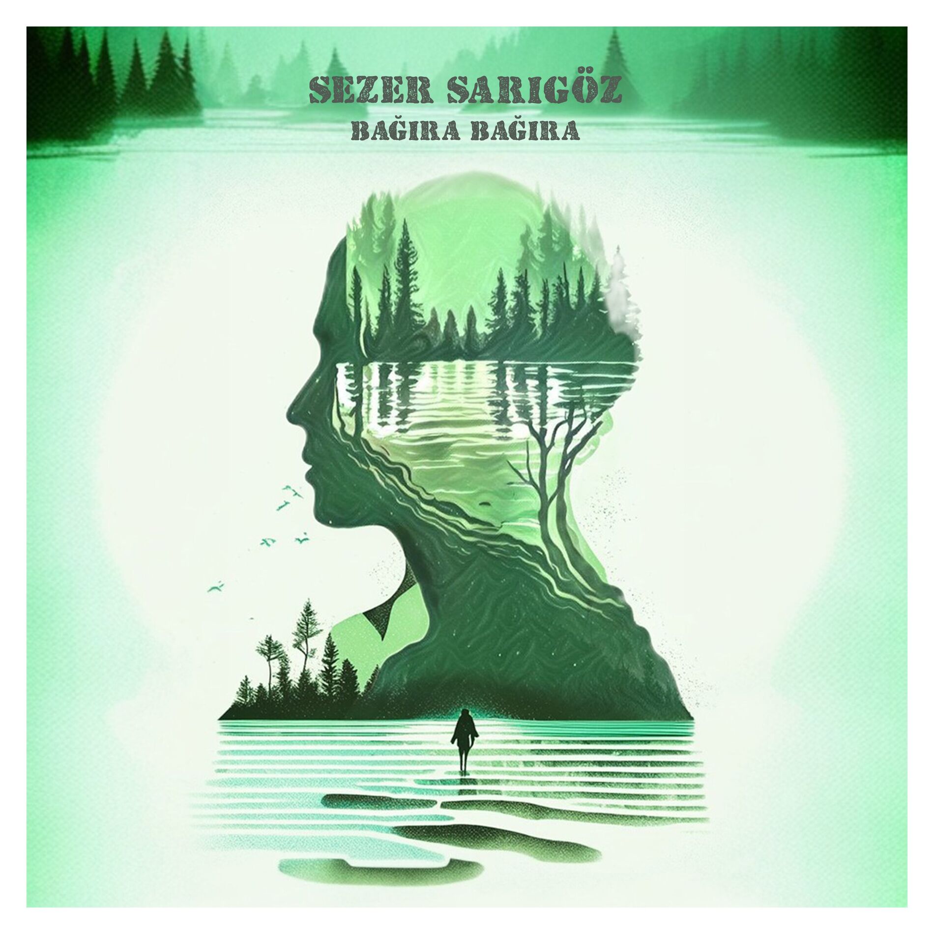 Album cover of Bağıra Bağıra