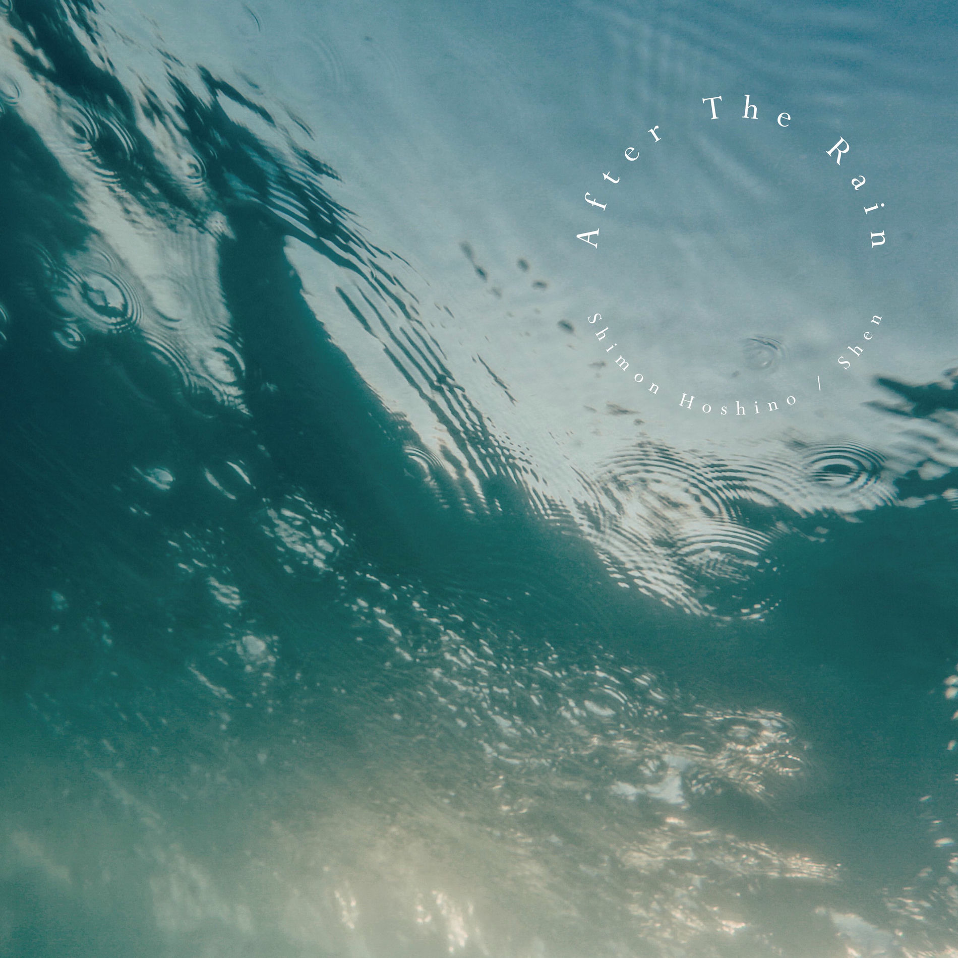 Album cover of After The Rain