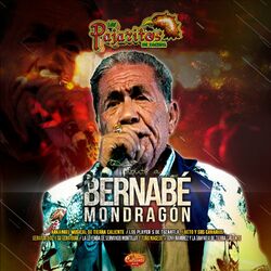 Cover of Tributo a Bernabé Mondragón