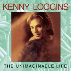 Cover of The Unimaginable Life