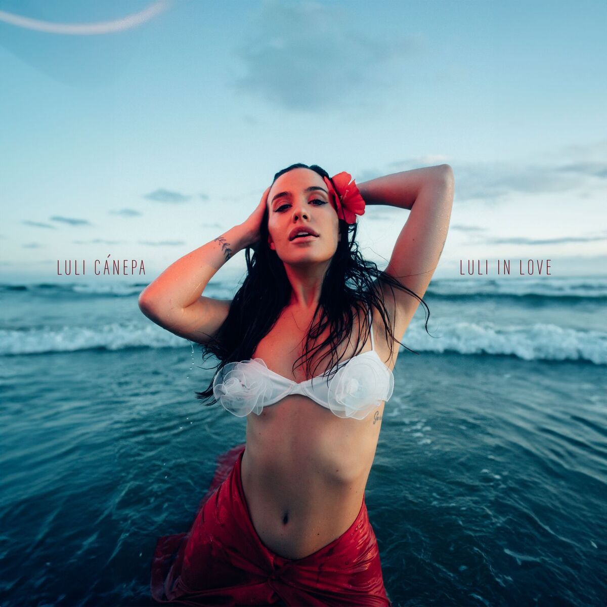Album cover of Luli In Love