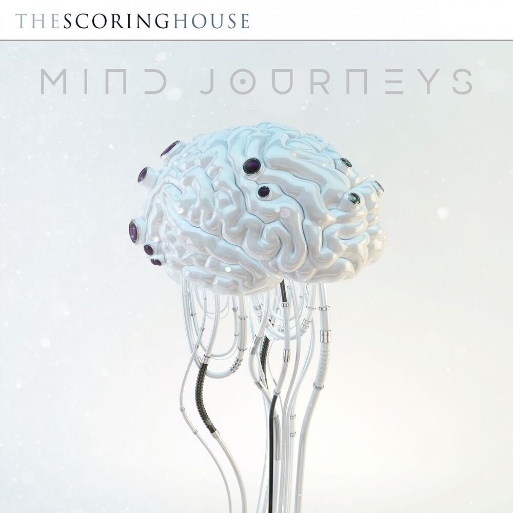 Picture of Mind Journeys