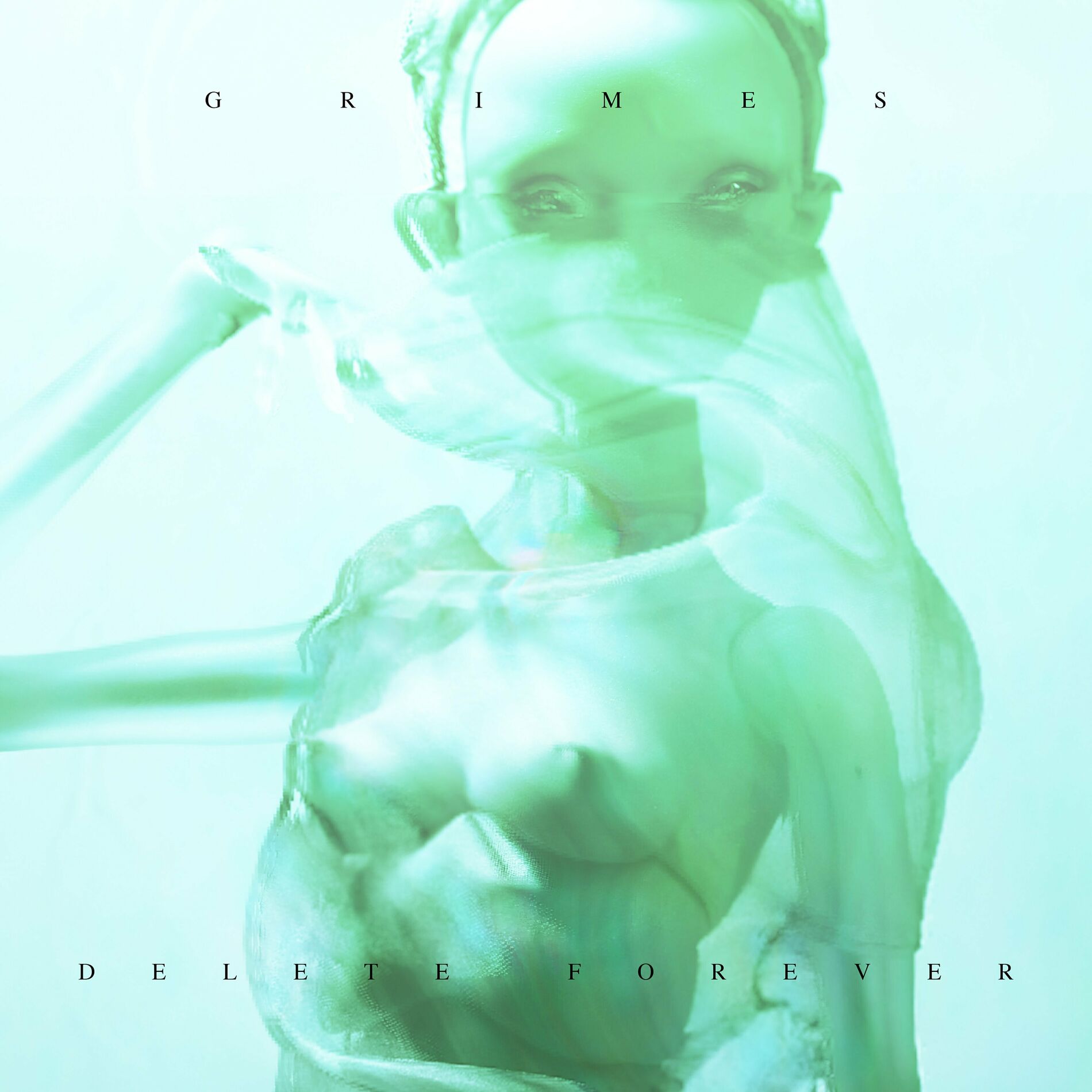 Album cover of Delete Forever