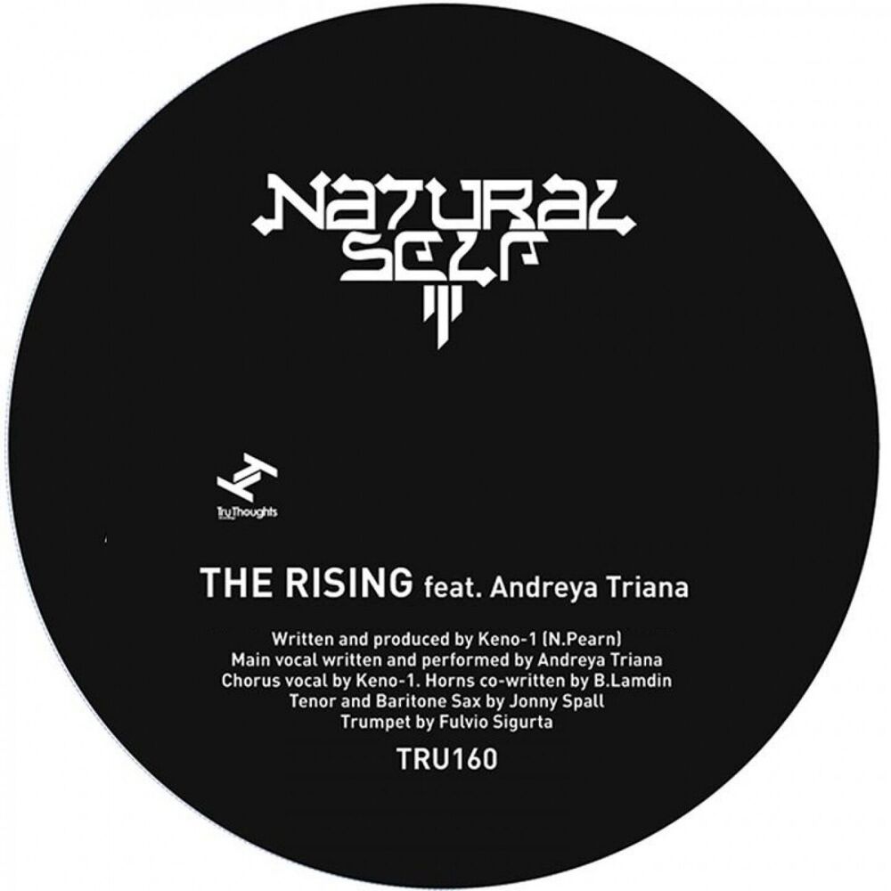Picture of The Rising