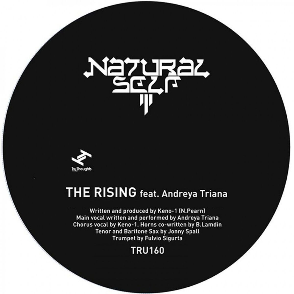 Album cover of The Rising