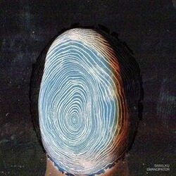 music cover
