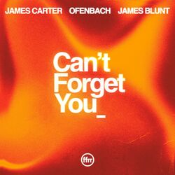 Cover of Can’t Forget You (feat. James Blunt)