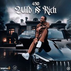 Cover of Wild n' Rich