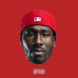 Cover of Run to the Money