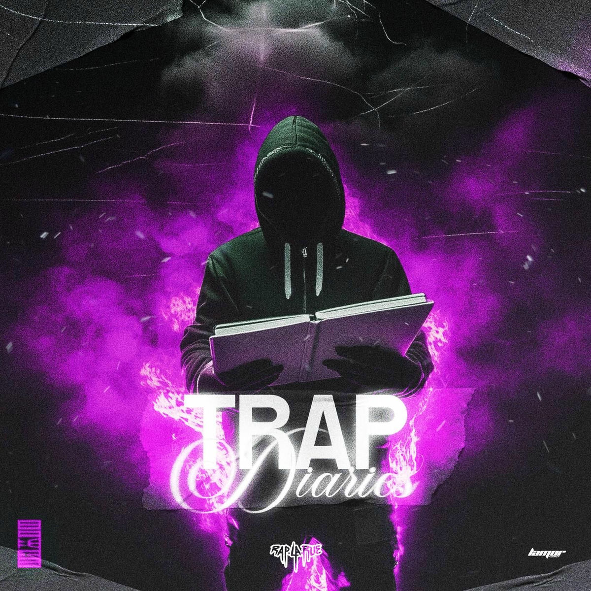 Album cover of TRAP DIARIES
