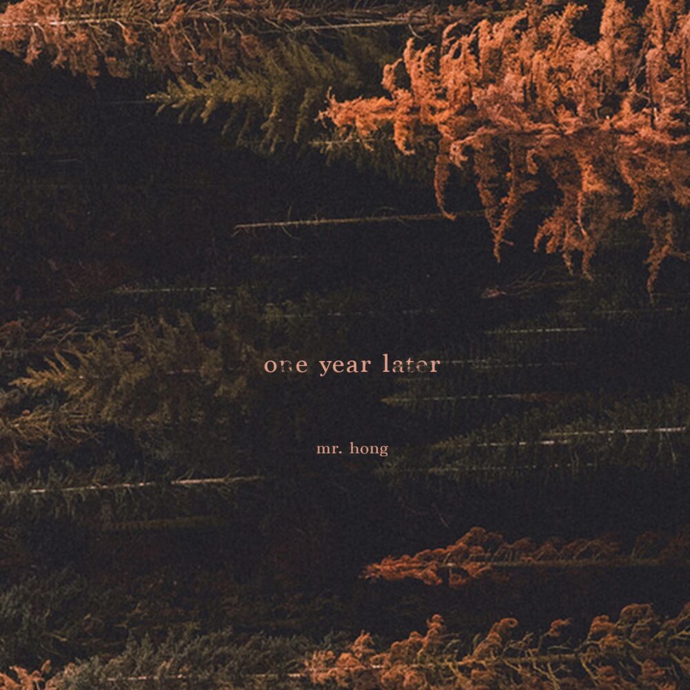 Picture of One Year Later