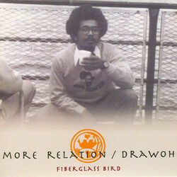Cover of Fiberglass Bird