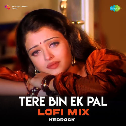 Tere Bin Ek Pal (Lofi Mix)