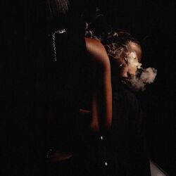 Cover of Stay