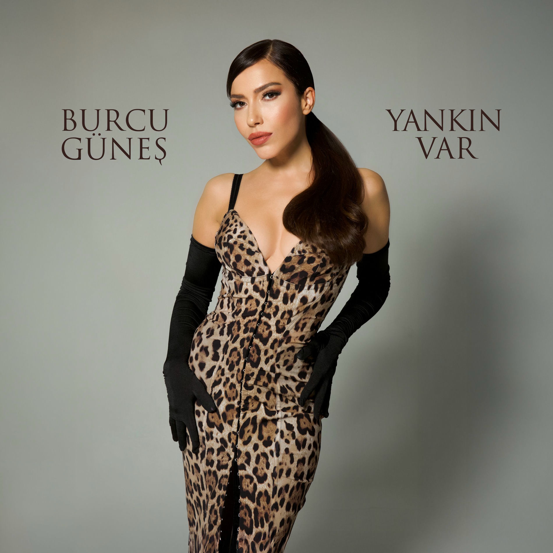Album cover of Yankın Var