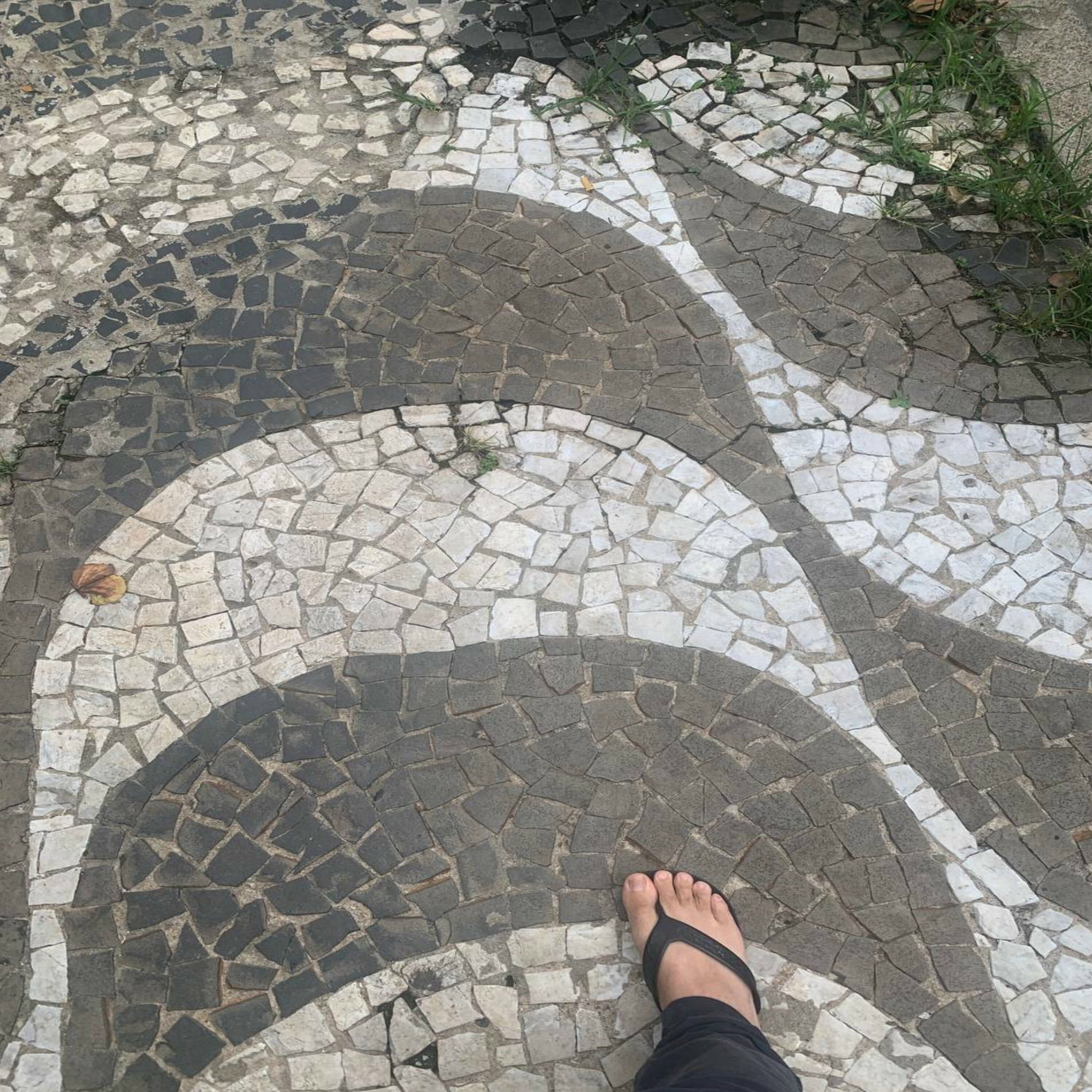 Album cover of Assim Falou Zarathustra