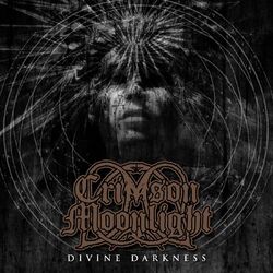 Cover of Divine Darkness