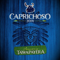 Cover of Amazônia Táwapayêra