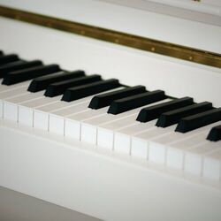 Cover of Intimate Worship