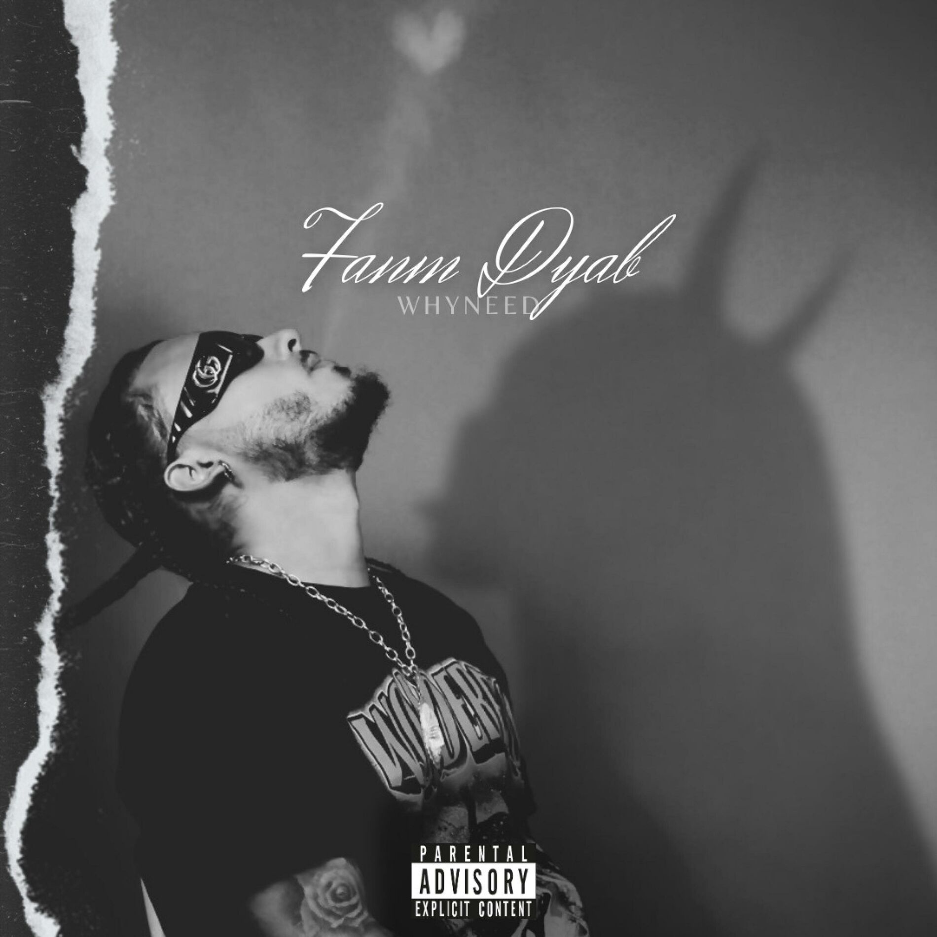 Album cover of Fanm Dyab