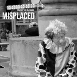 Cover of Misplaced