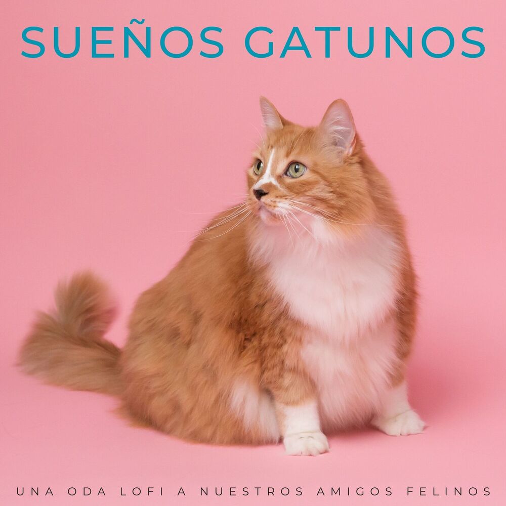 Picture of Sueños Gatunos: Una Oda Lofi A Nuestros Amigos Felinos