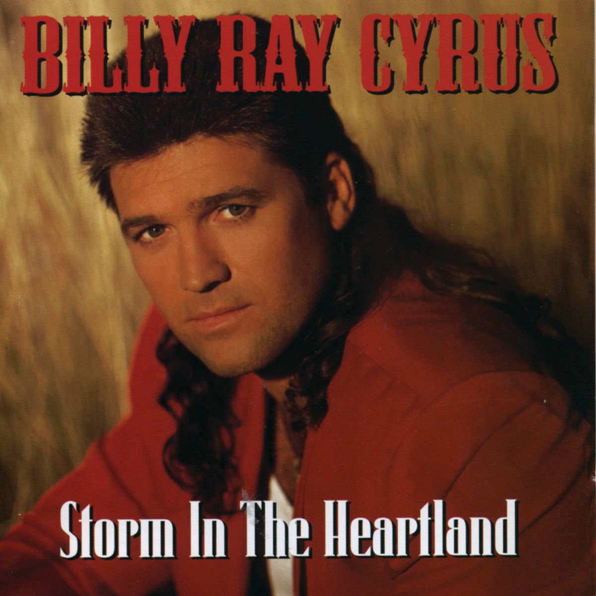 Album cover of Storm In The Heartland