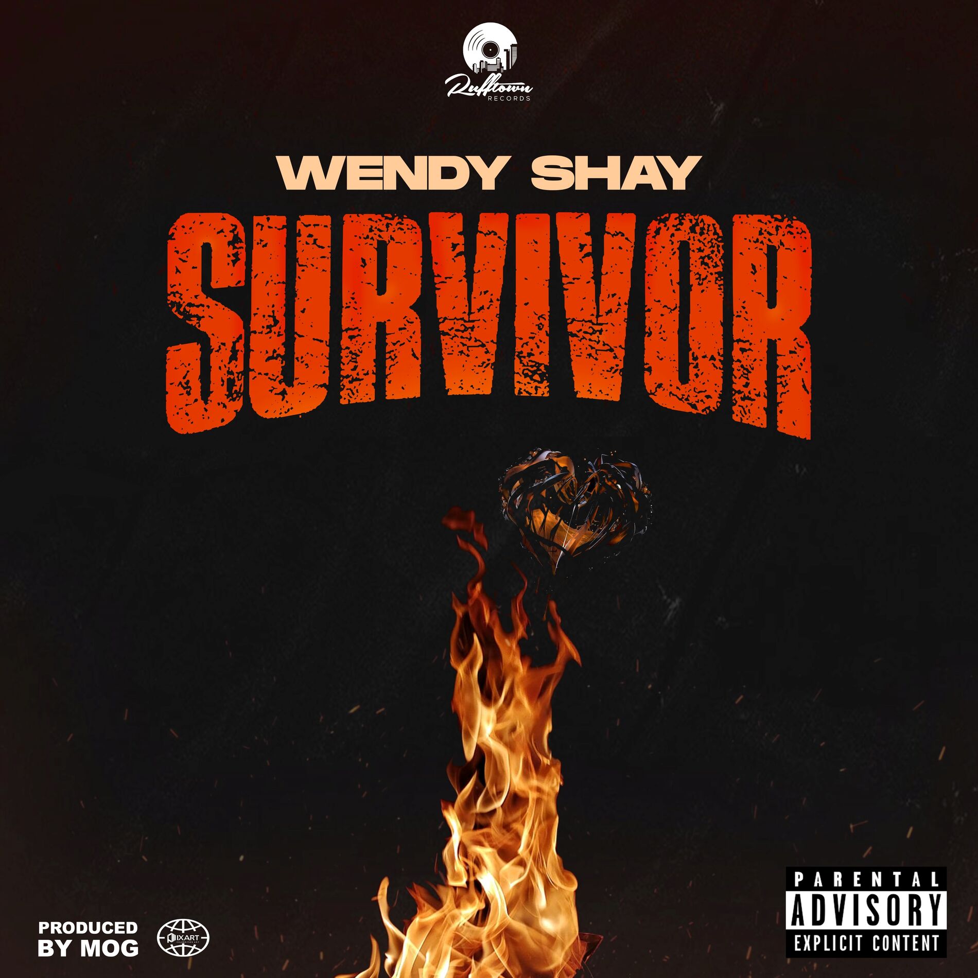 Album cover of Survivor