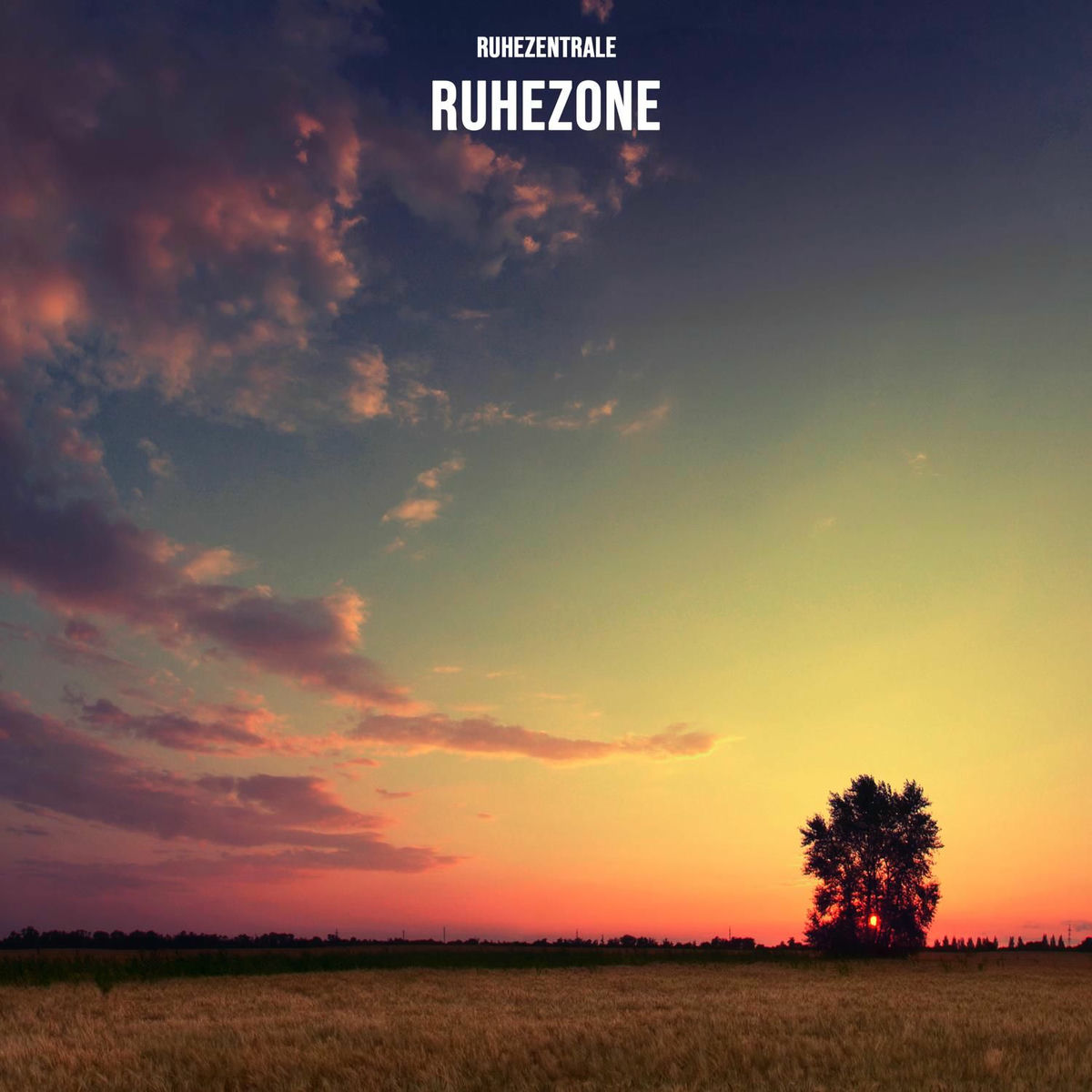Album cover of Ruhezone