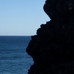 Cover of Dakar Disco