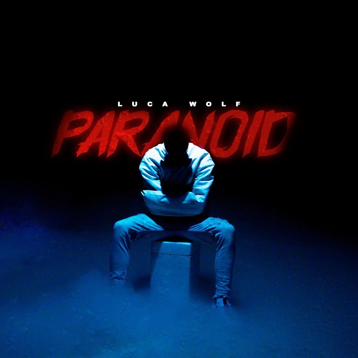 Album cover of Paranoid