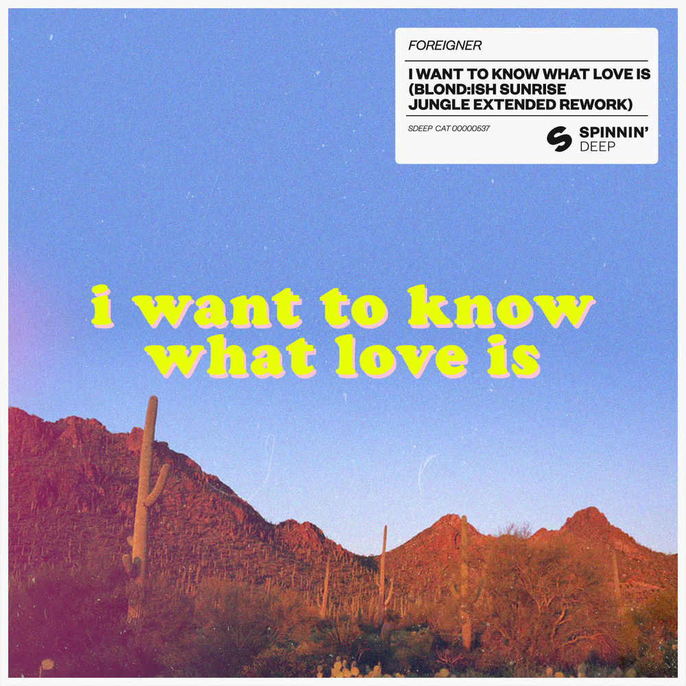 I Want To Know What Love Is (BLOND:ISH Sunrise Jungle Extended Rework) cover